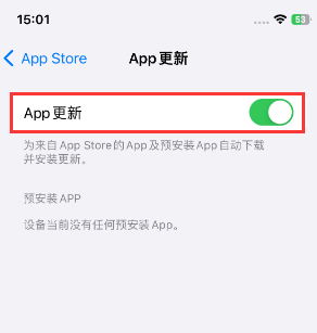 玉林苹果15维修中心如何让iPhone15APP自动更新